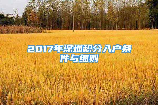 2017年深圳积分入户条件与细则