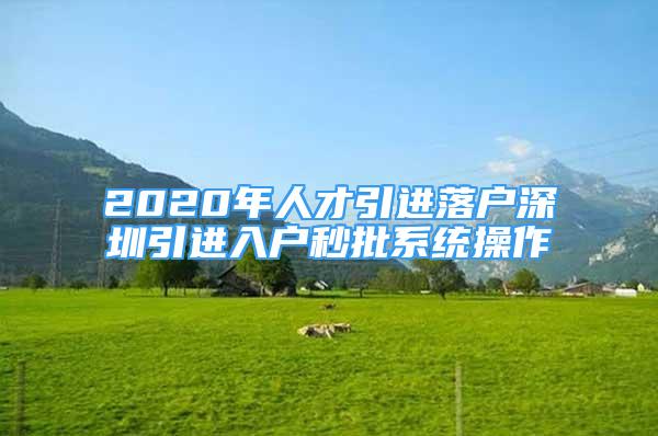 2020年人才引进落户深圳引进入户秒批系统操作