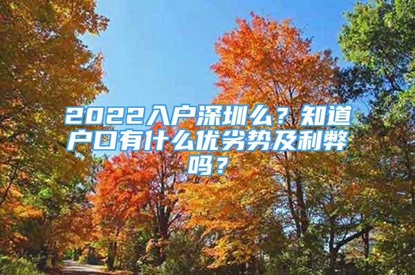 2022入户深圳么？知道户口有什么优劣势及利弊吗？