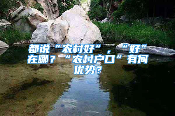 都说“农村好”，“好”在哪？“农村户口”有何优势？