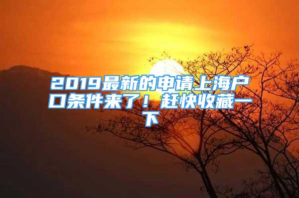 2019最新的申请上海户口条件来了！赶快收藏一下