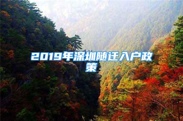 2019年深圳随迁入户政策