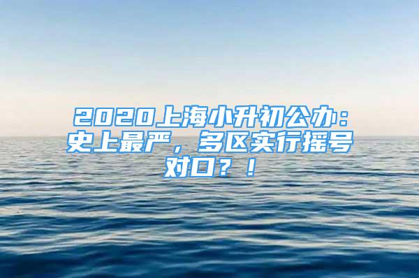 2020上海小升初公办：史上最严，多区实行摇号对口？！