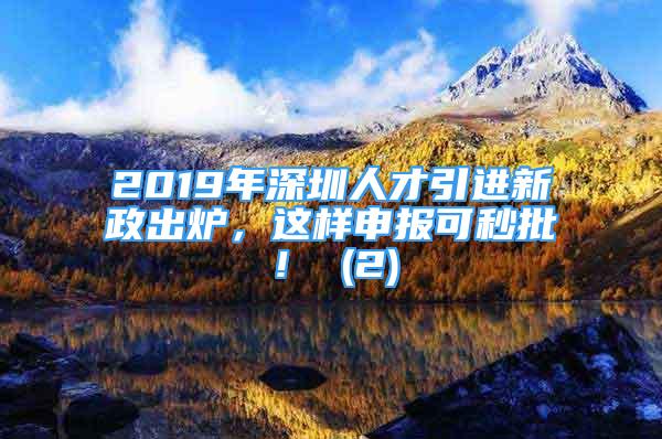 2019年深圳人才引进新政出炉，这样申报可秒批！ (2)