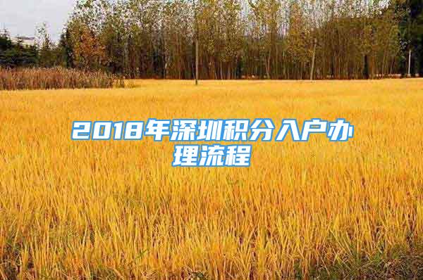 2018年深圳积分入户办理流程