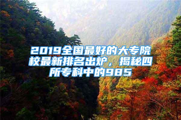 2019全国最好的大专院校最新排名出炉，揭秘四所专科中的985