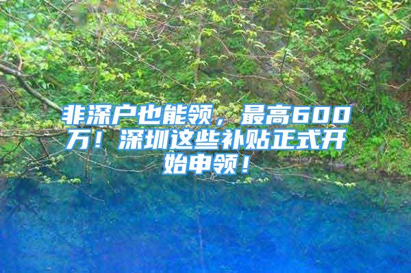 非深户也能领，最高600万！深圳这些补贴正式开始申领！