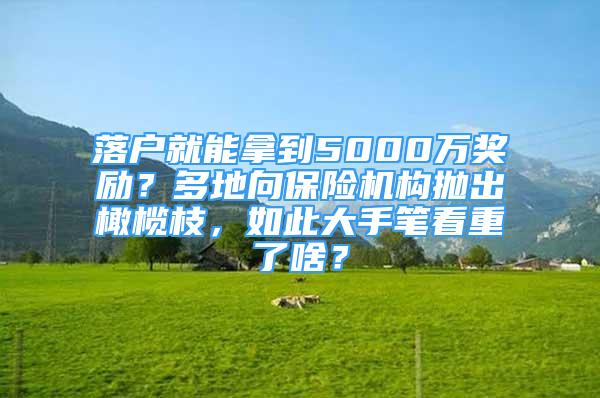 落户就能拿到5000万奖励？多地向保险机构抛出橄榄枝，如此大手笔看重了啥？