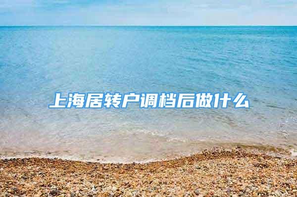 上海居转户调档后做什么