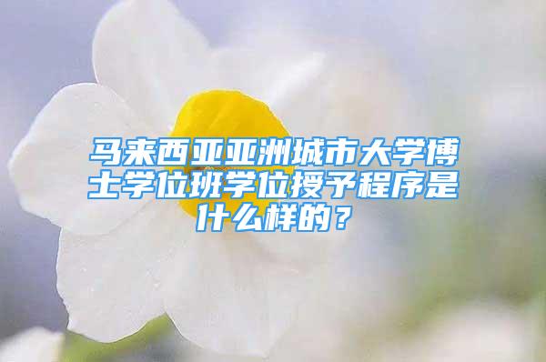 马来西亚亚洲城市大学博士学位班学位授予程序是什么样的？