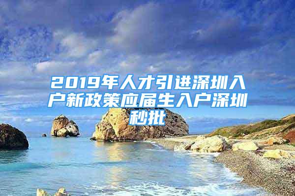 2019年人才引进深圳入户新政策应届生入户深圳秒批