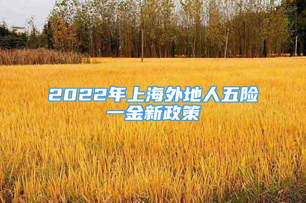 2022年上海外地人五险一金新政策