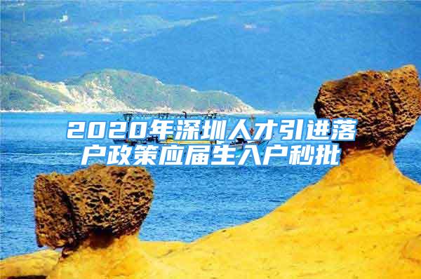 2020年深圳人才引进落户政策应届生入户秒批