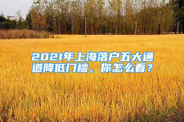 2021年上海落户五大通道降低门槛，你怎么看？