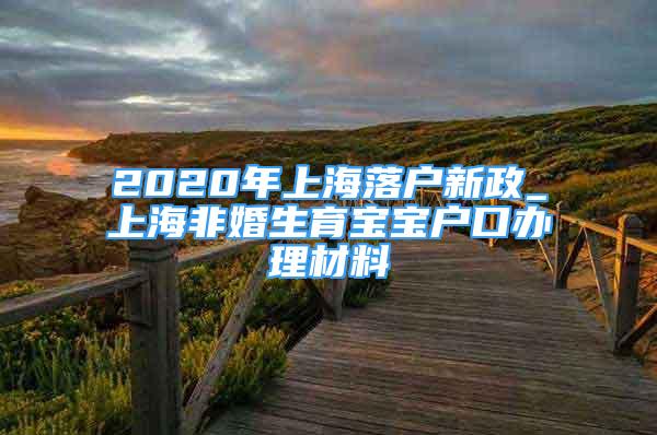 2020年上海落户新政_上海非婚生育宝宝户口办理材料