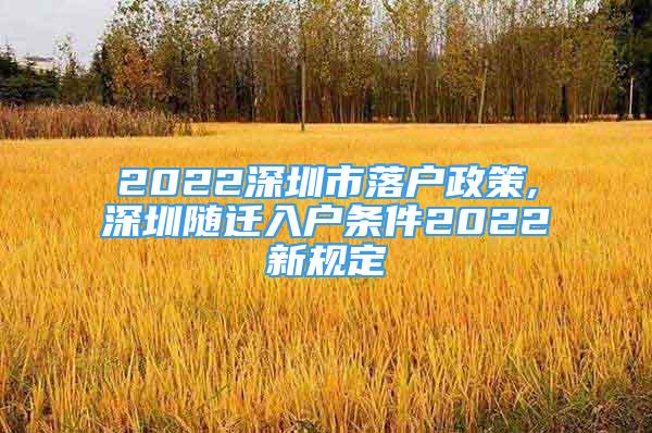 2022深圳市落户政策,深圳随迁入户条件2022新规定