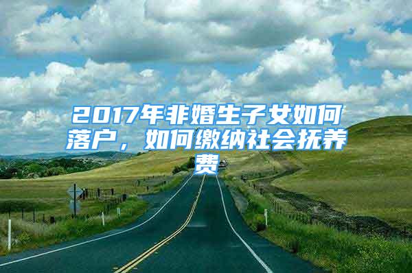 2017年非婚生子女如何落户，如何缴纳社会抚养费