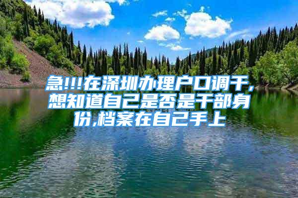 急!!!在深圳办理户口调干,想知道自己是否是干部身份,档案在自己手上