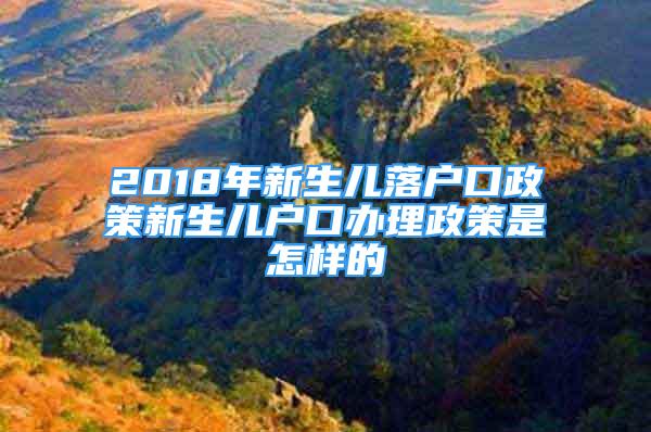 2018年新生儿落户口政策新生儿户口办理政策是怎样的