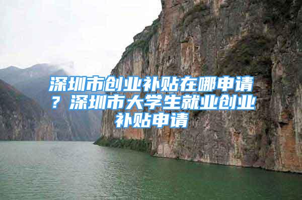 深圳市创业补贴在哪申请？深圳市大学生就业创业补贴申请