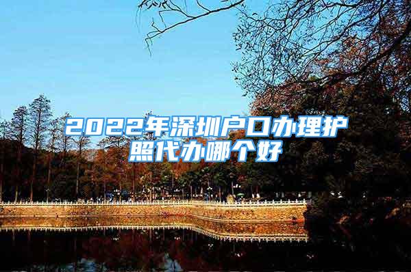 2022年深圳户口办理护照代办哪个好