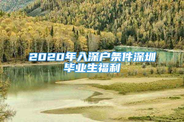 2020年入深户条件深圳毕业生福利