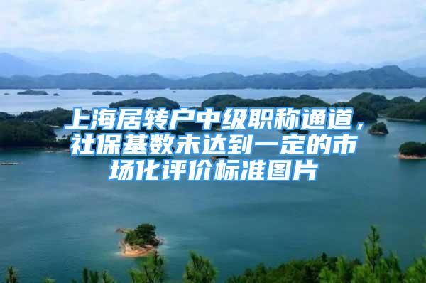 上海居转户中级职称通道，社保基数未达到一定的市场化评价标准图片