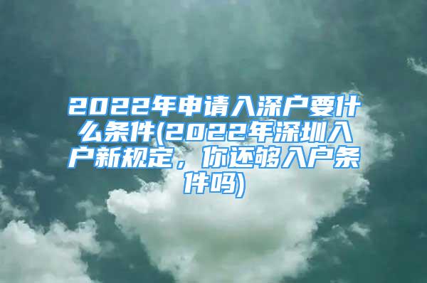 2022年申请入深户要什么条件(2022年深圳入户新规定，你还够入户条件吗)