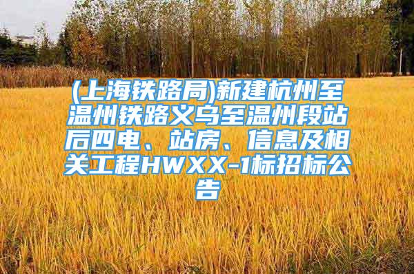 (上海铁路局)新建杭州至温州铁路义乌至温州段站后四电、站房、信息及相关工程HWXX-1标招标公告