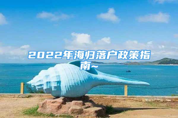 2022年海归落户政策指南~