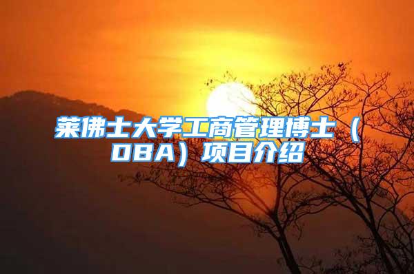 莱佛士大学工商管理博士（DBA）项目介绍