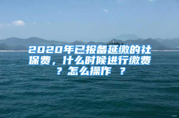 2020年已报备延缴的社保费，什么时候进行缴费？怎么操作 ？