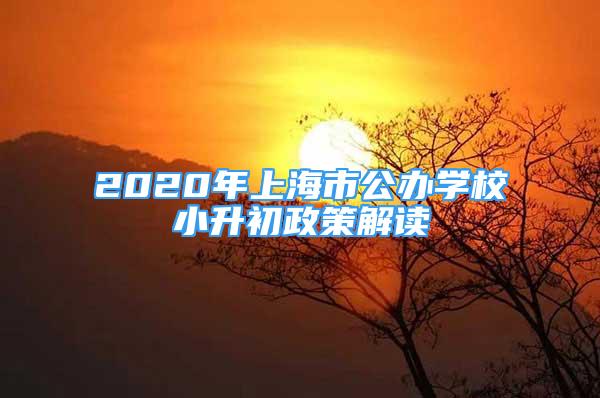 2020年上海市公办学校小升初政策解读