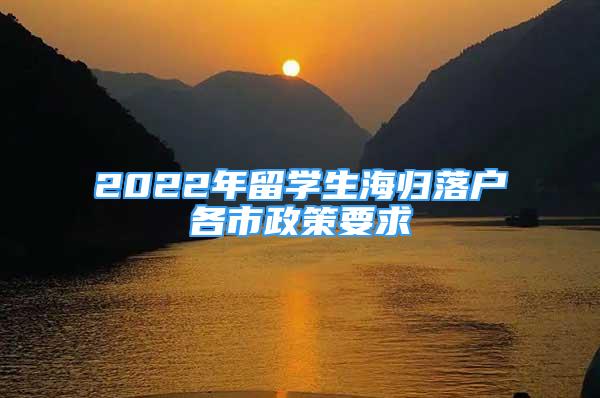 2022年留学生海归落户各市政策要求