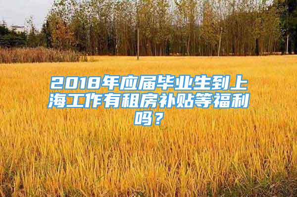 2018年应届毕业生到上海工作有租房补贴等福利吗？