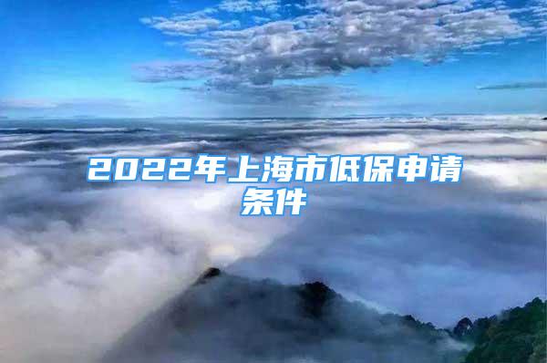 2022年上海市低保申请条件