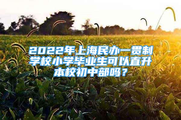 2022年上海民办一贯制学校小学毕业生可以直升本校初中部吗？