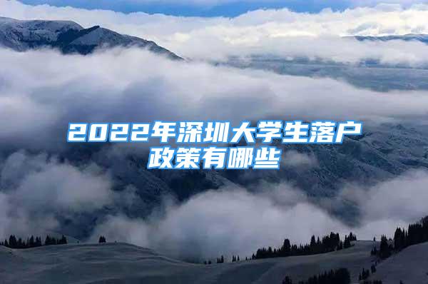 2022年深圳大学生落户政策有哪些