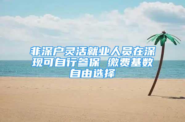 非深户灵活就业人员在深现可自行参保 缴费基数自由选择