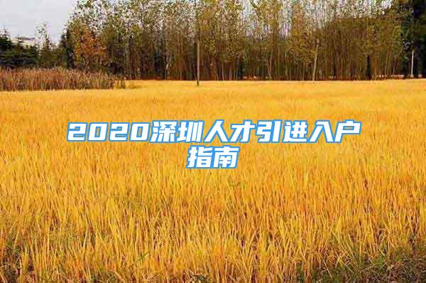 2020深圳人才引进入户指南