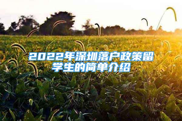 2022年深圳落户政策留学生的简单介绍