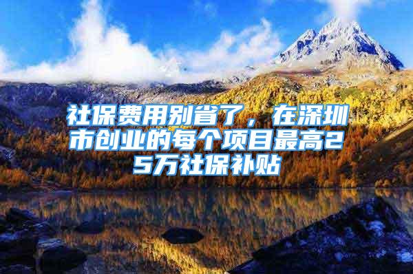 社保费用别省了，在深圳市创业的每个项目最高25万社保补贴