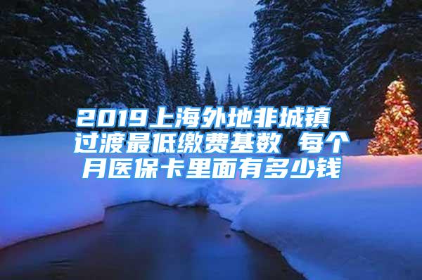 2019上海外地非城镇 过渡最低缴费基数 每个月医保卡里面有多少钱