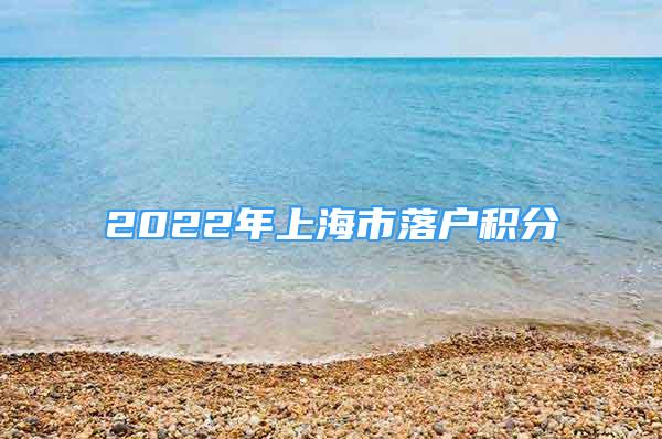 2022年上海市落户积分