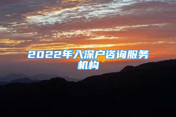 2022年入深户咨询服务机构