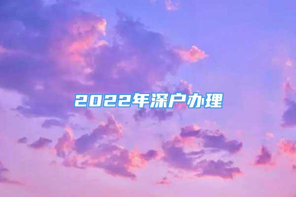 2022年深户办理