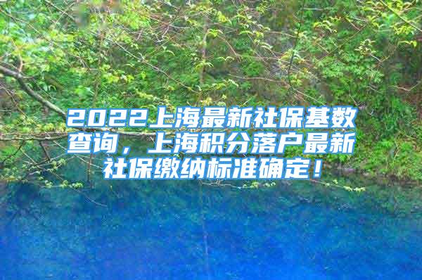 2022上海最新社保基数查询，上海积分落户最新社保缴纳标准确定！