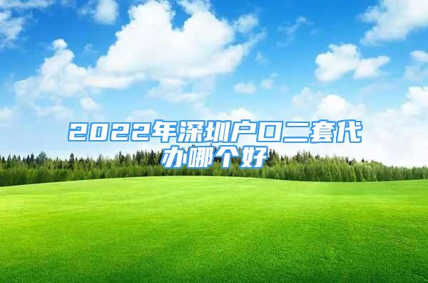 2022年深圳户口二套代办哪个好