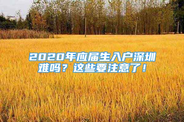 2020年应届生入户深圳难吗？这些要注意了！