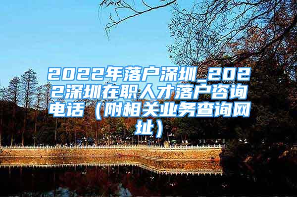 2022年落户深圳_2022深圳在职人才落户咨询电话（附相关业务查询网址）